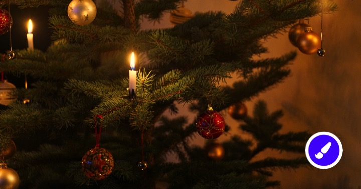 Hvorfor bruger man juletræet til jul? Lær om juletræets historie