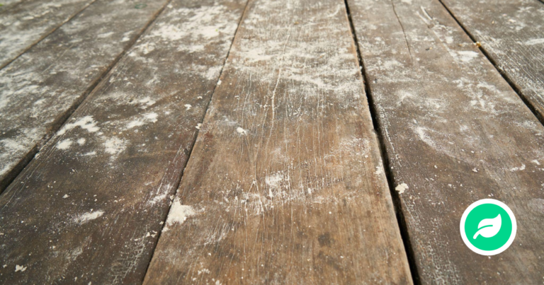 Hvor kommer støv fra?